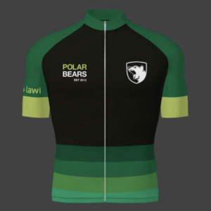 Design - Polar Bears
